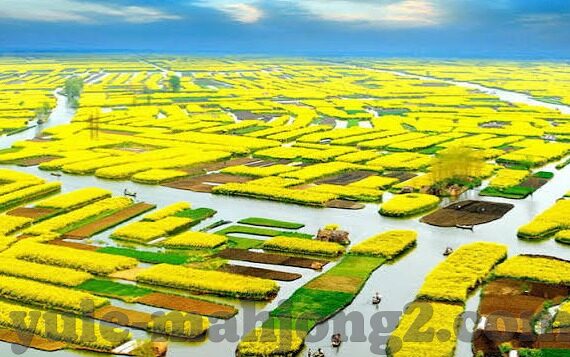 九游大厅软件游戏大厅下载app软件-它通过科技驱动打造连接您与游戏的桥梁