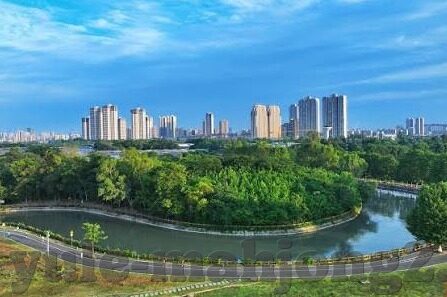 足球比分平台-足球比分平台，数字时代的绿茵场信息中枢