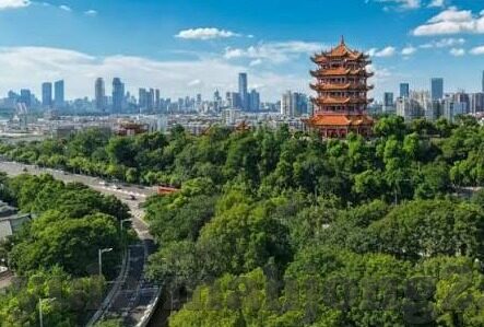 足球比分预测谁最准-足球比分预测，谁才是真正的预言家？